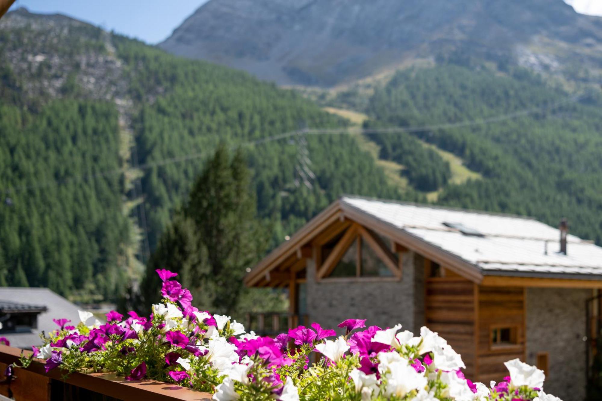 Saas Fee Haus Avalanche 아파트 객실 사진